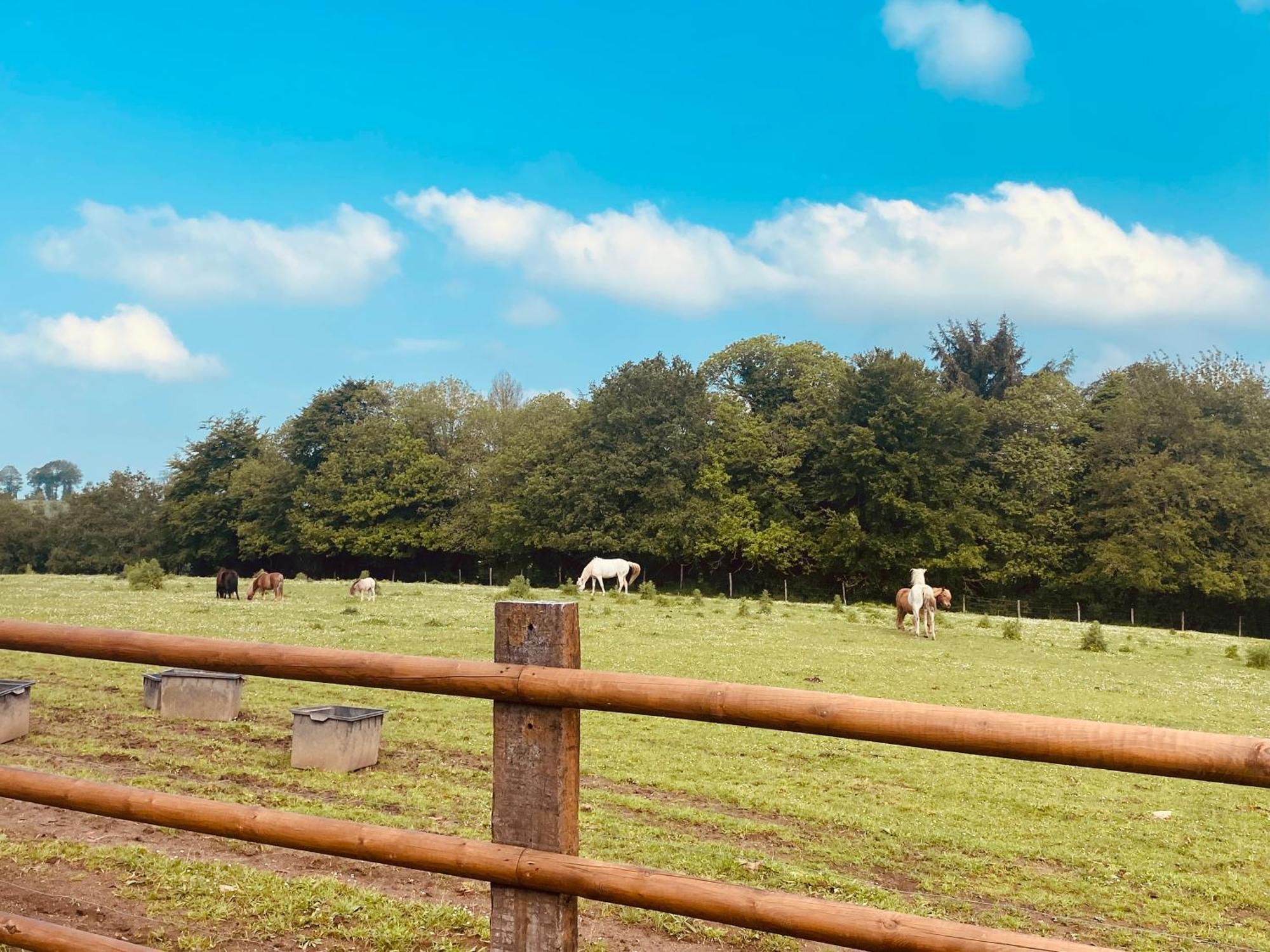 Escapade Dans Un Ranch Apartamento Le Sourn Exterior foto